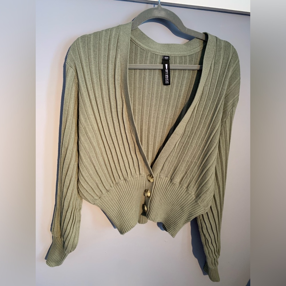 Sage green crop sweater